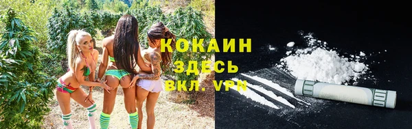 а пвп мука Абаза