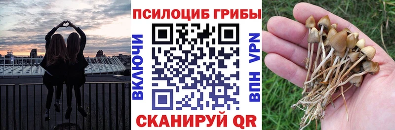площадка официальный сайт  Янаул  Галлюциногенные грибы MAGIC MUSHROOMS  купить наркотик 